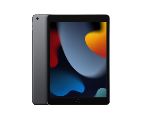 Планшет Apple iPad (2021) Wi-Fi 256Gb (Серый космос)
